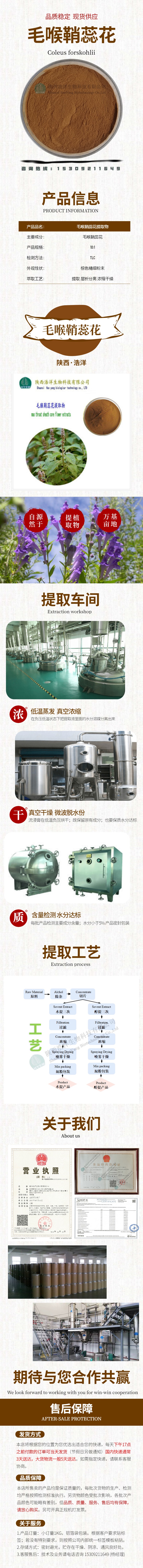 浩洋-毛喉鞘蕊花详情页.jpg