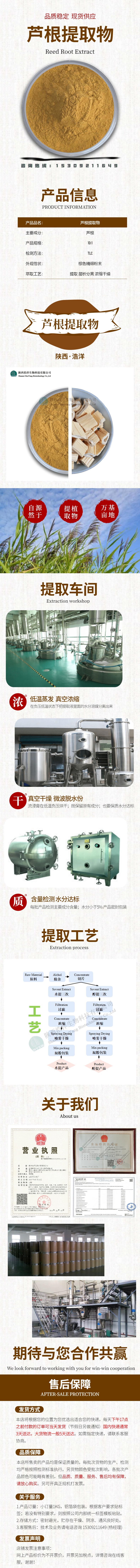 1632363567584533.jpg 浩洋-芦根详情页.jpg
