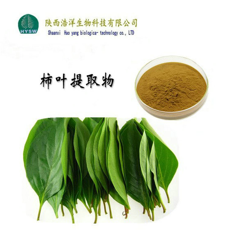 柿叶浸膏粉.jpg