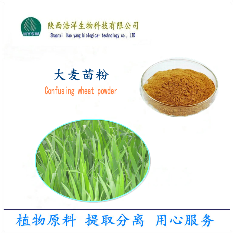 大麦苗图片.png