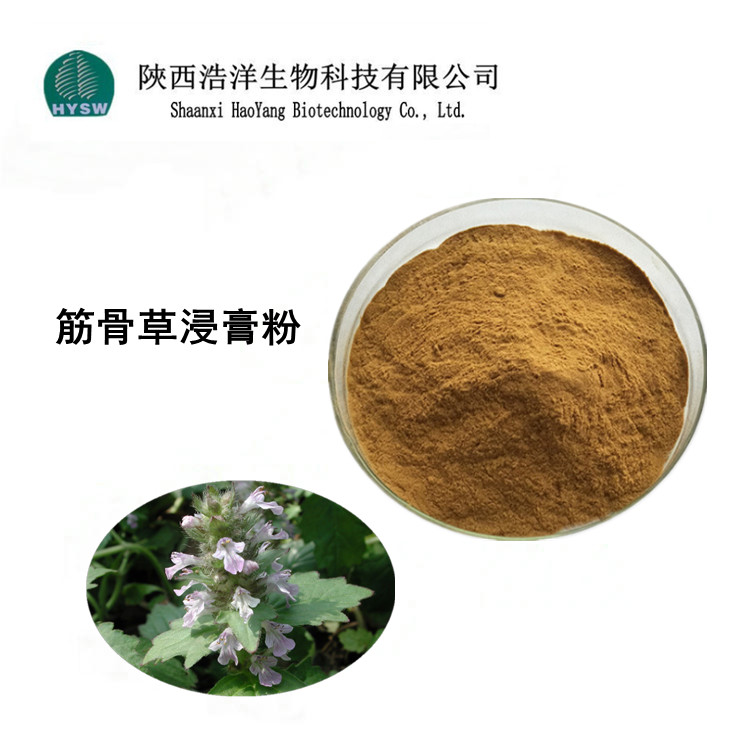 筋骨草浸膏粉.jpg