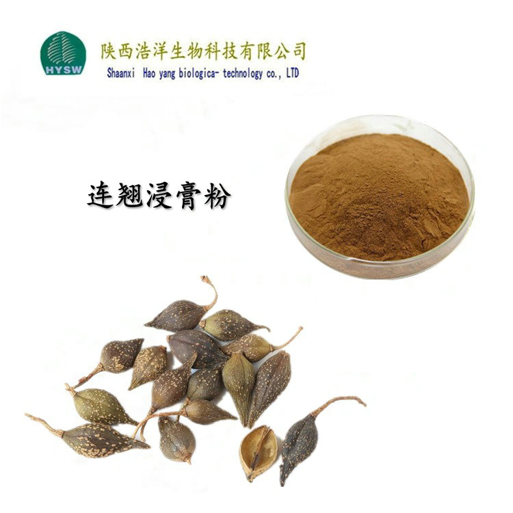 连翘浸膏粉.jpg
