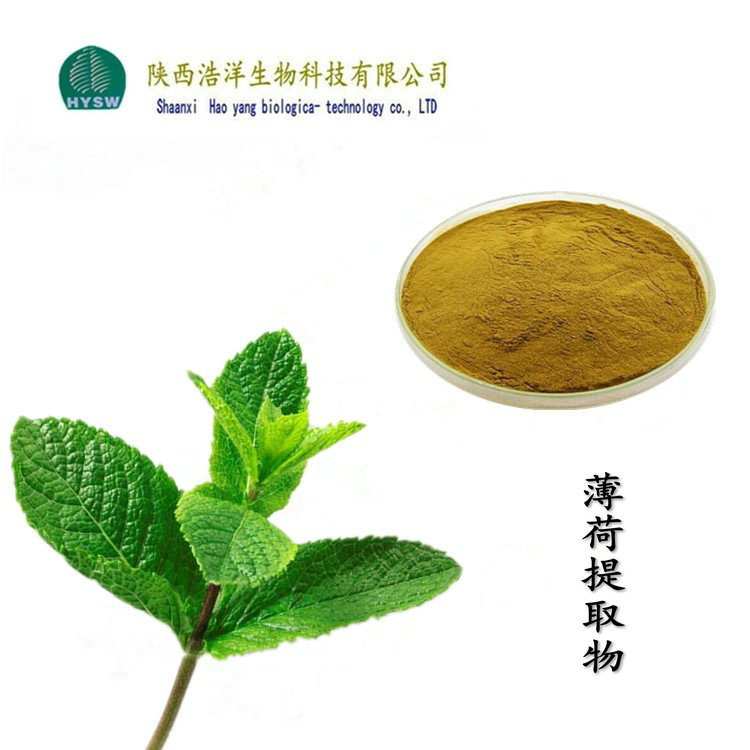 薄荷提取物.jpg