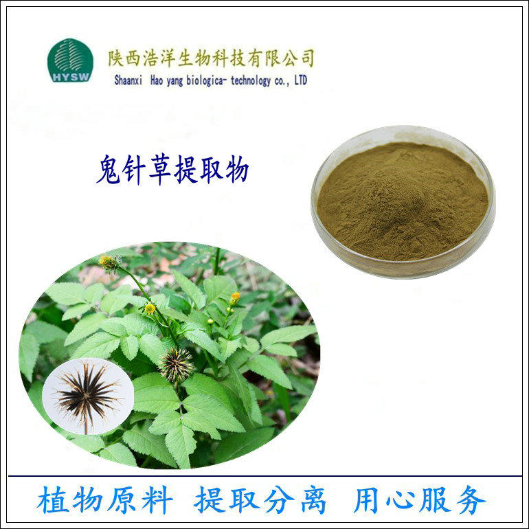 鬼针草图片.jpg