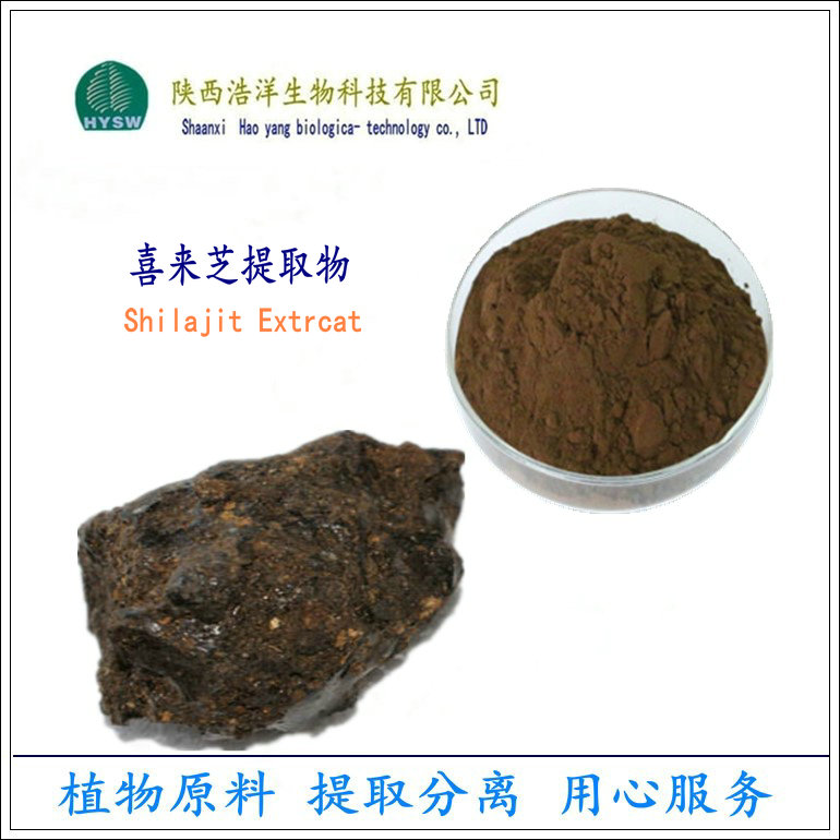 喜来芝 图片.jpg