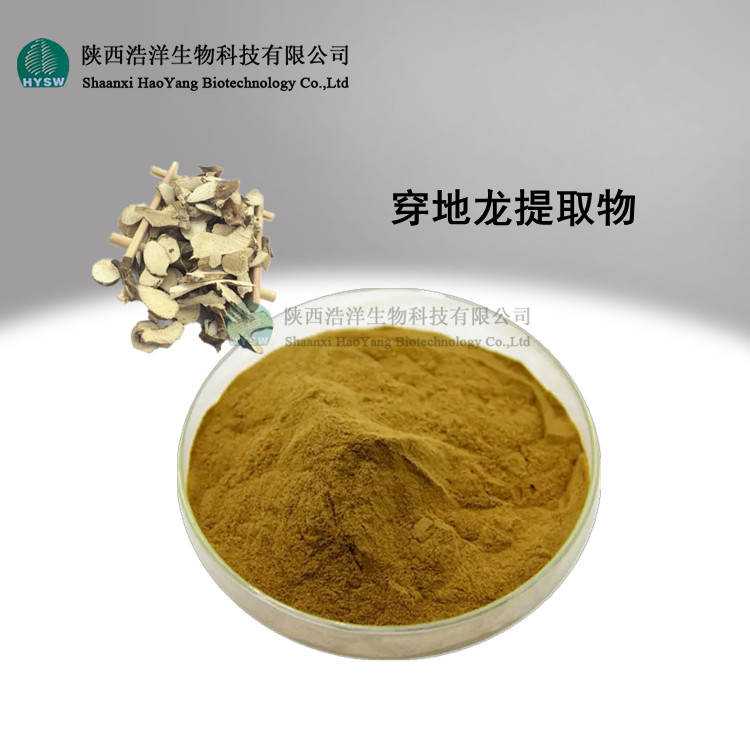 穿地龙提取物.jpg