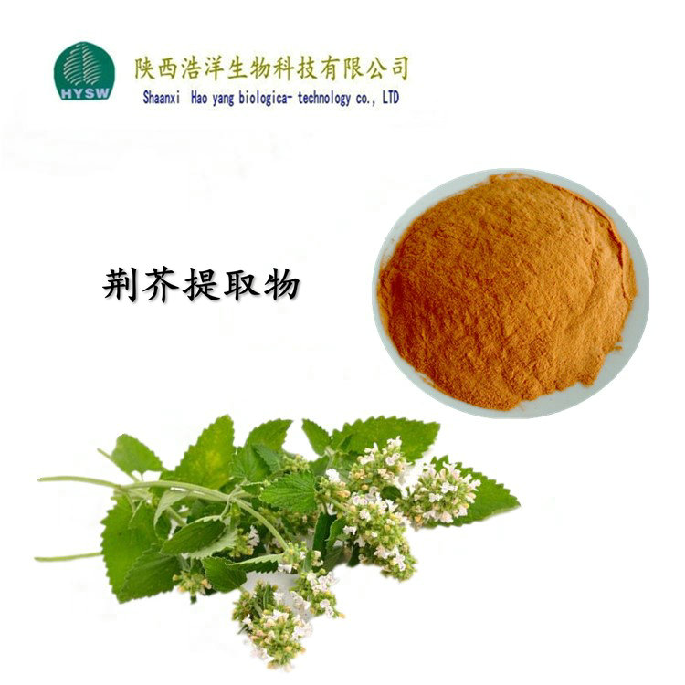 荆芥提取物.jpg