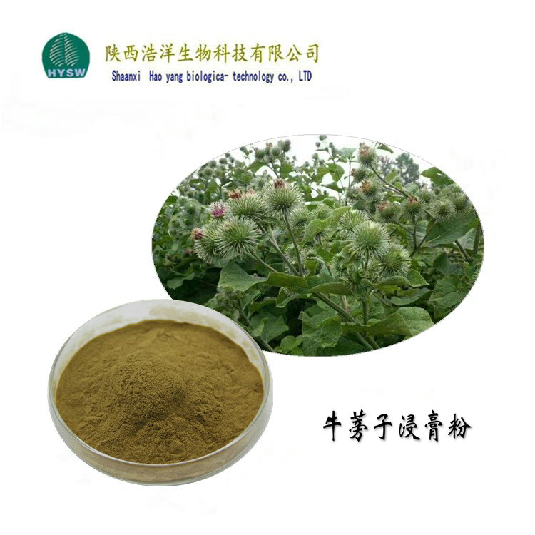 牛蒡子浸膏粉.jpg