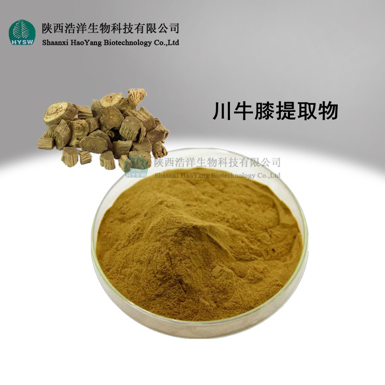 川牛膝提取物.jpg