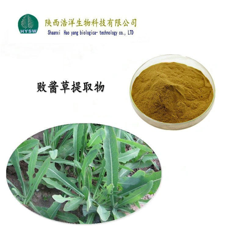 1659506206255401.jpg 败酱草提取物.jpg