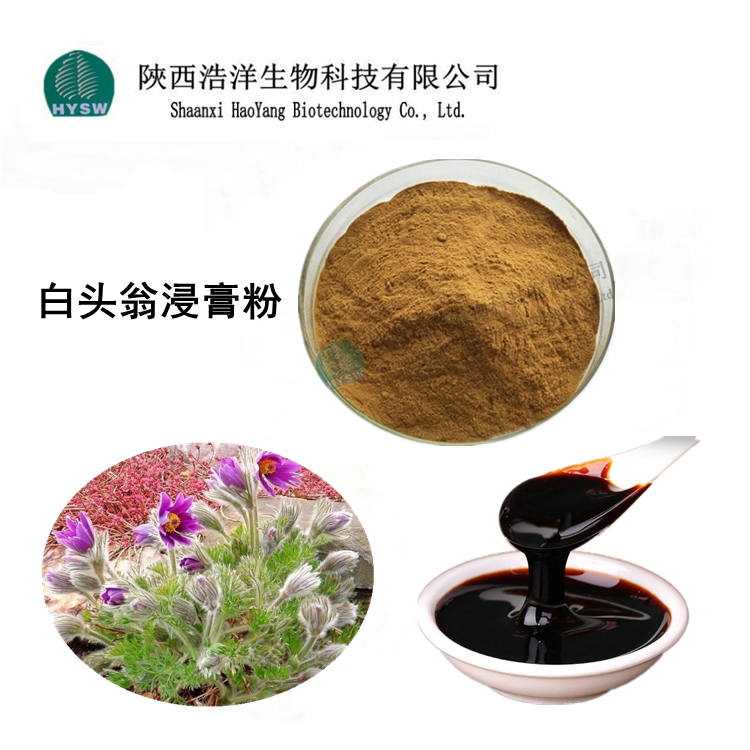 白头翁浸膏粉.png