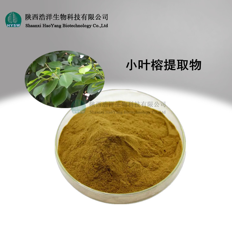 小叶榕提取物.jpg