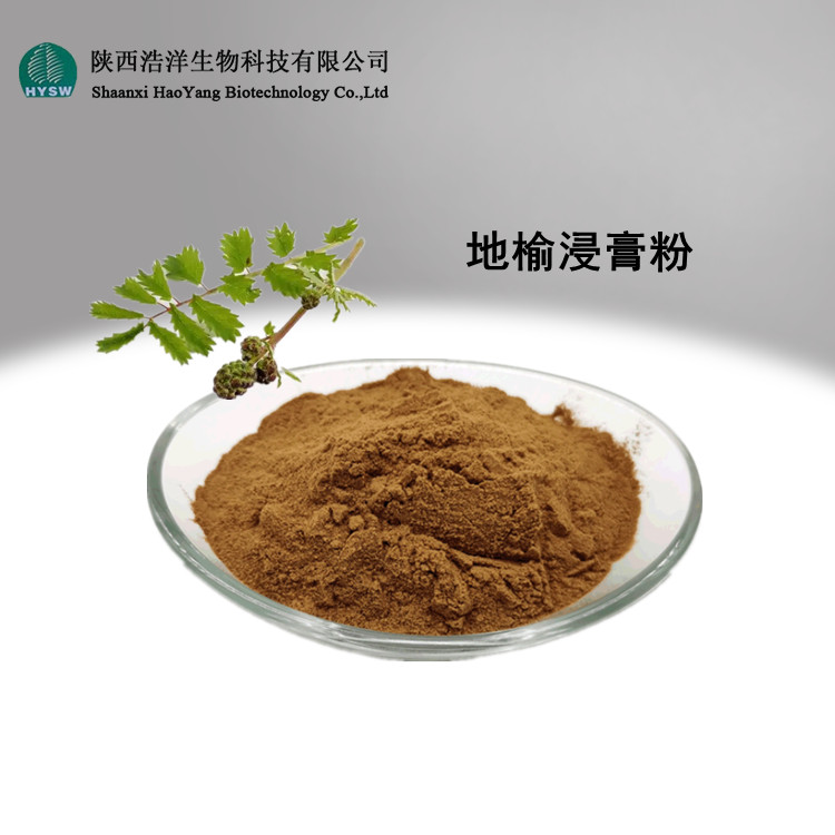 地榆浸膏粉.jpg