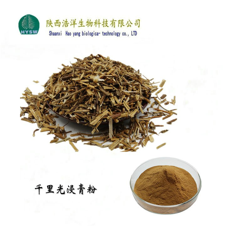 千里光浸膏粉.jpg
