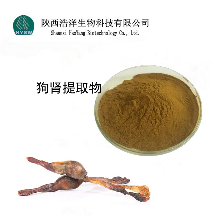 狗肾提取物.jpg