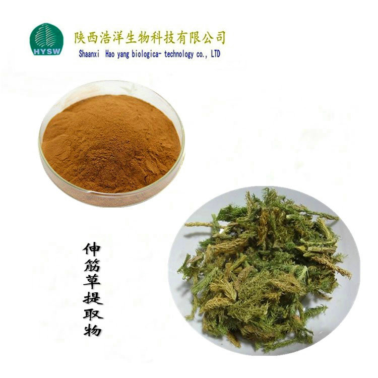 伸筋草浸膏粉.jpg