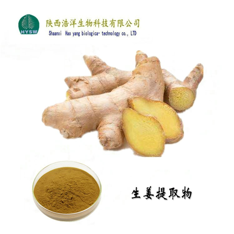 生姜浸膏粉.jpg